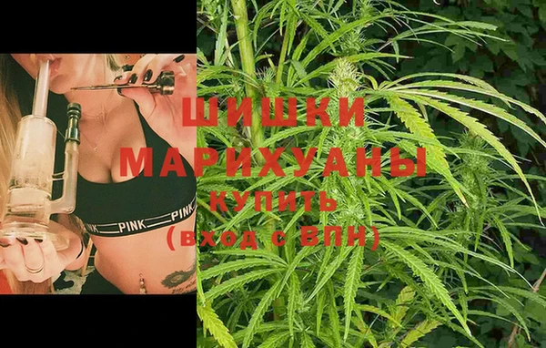 spice Михайлов