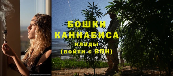 ГАЛЛЮЦИНОГЕННЫЕ ГРИБЫ Навашино