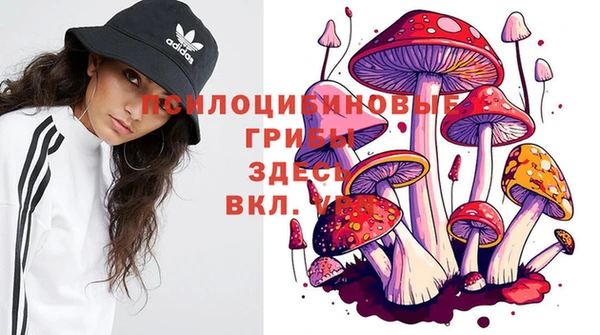 spice Михайлов