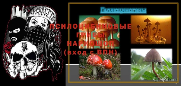 ГАЛЛЮЦИНОГЕННЫЕ ГРИБЫ Навашино