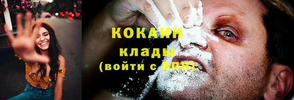 крисы Наволоки